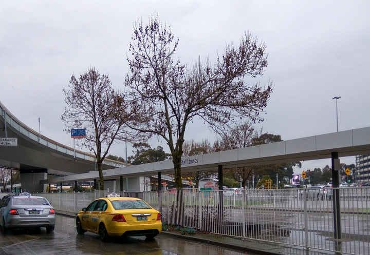 Wisata ke Melbourne Saat Musim Dingin? Siapa Takut!