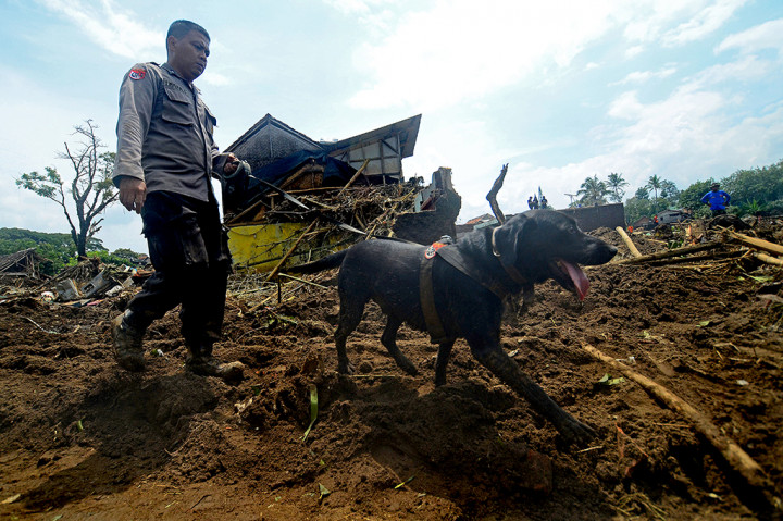 Anjing Pelacak Bantu Pencarian Korban Banjir Garut