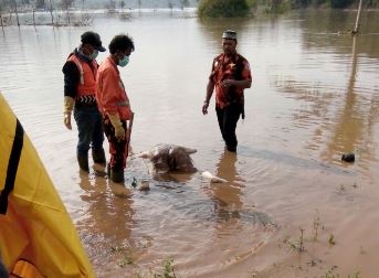 Dua Mayat Perempuan Diduga Korban Banjir Bandang Ditemukan di Waduk Jatigede