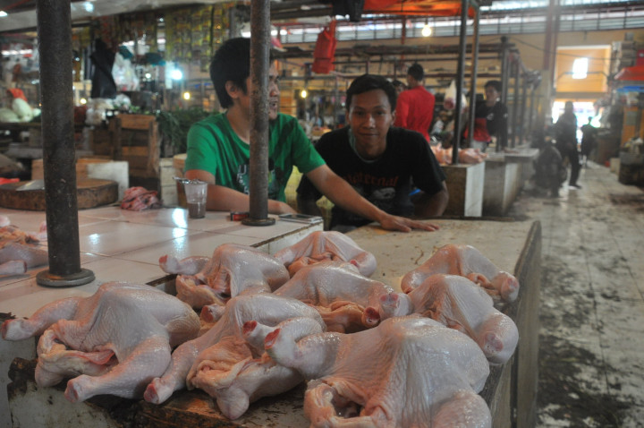 Penjualan Daging Ayam Merosot