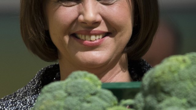 6 Natural Ingredients to Treat Endometriosis