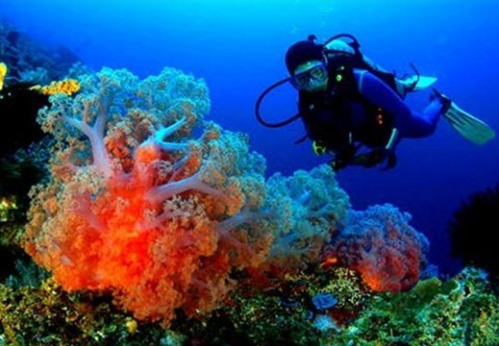 Ayo, Vote Indonesia Menjadi Top Dive Destination 2017