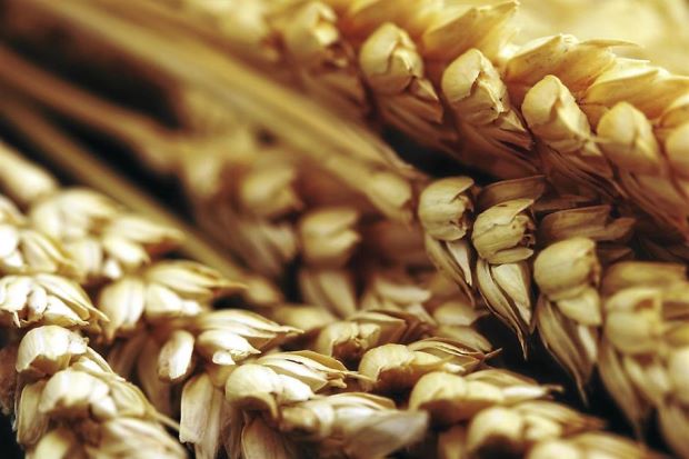 5 Benefits of Oatmeal for Skin Health