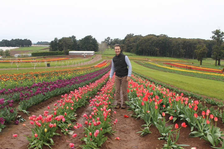 Mengubah Tanah Menjadi Ladang Uang Ala Petani Australia