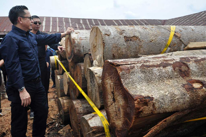 BKSDA Jabar Amankan Ratusan Batang Kayu Selundupan