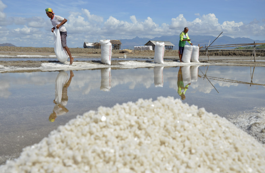 Ilustrasi petani garam. Foto: Antara/Ahmad Subaidi