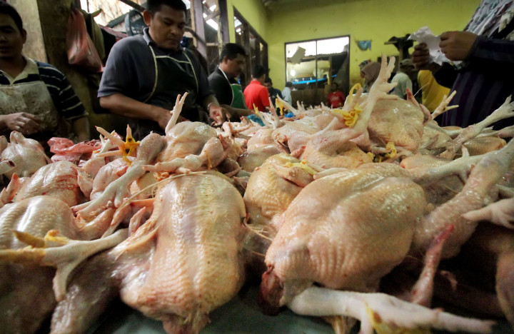 Kementerian Pertanian Kampanye Konsumsi Ayam Dingin Segar