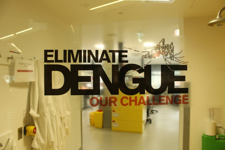 Kerja Sama UGM dan Universitas Monash Mengembangkan Bakteri Pelawan DBD