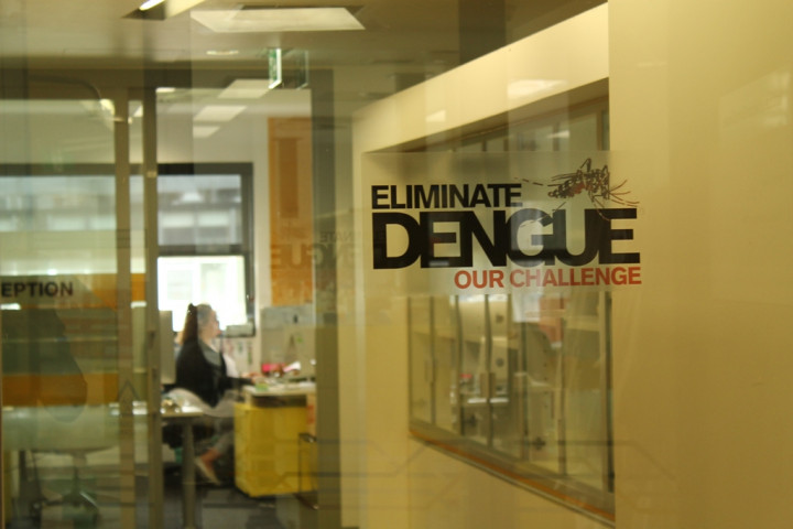 Tahapan Penelitian UGM-Universitas Monash Cegah Penyebaran DBD di Yogyakarta