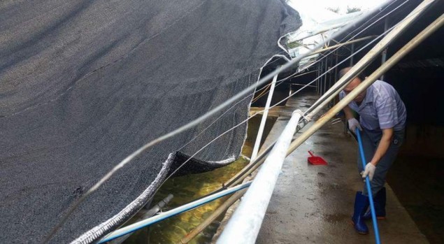 No Indonesian Casualties in Typhoon Chaba