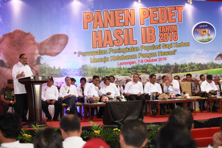 Menkop UKM Klaim Pemerintah Serius Wujudkan Swasembada Daging