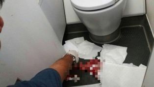 Janin Berusia 5 Bulan Ditemukan di Toilet Pesawat Qatar Airways