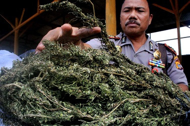 Naik Bus ke Medan, Remaja asal Aceh Bawa Ganja 20 Kg