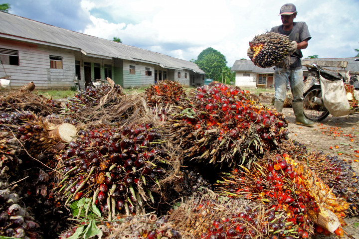 Gov't to Push B20 Biodiesel