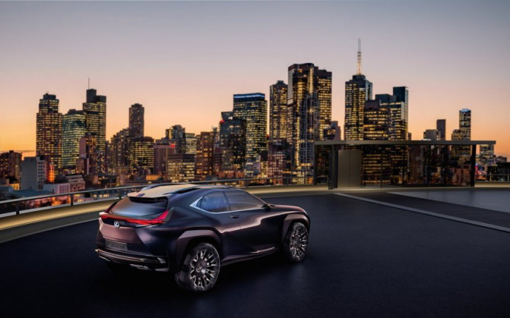 Lexus UX & Jok Anyamannya