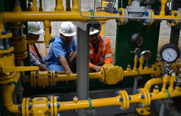 Gov't Urged Not to Import Gas