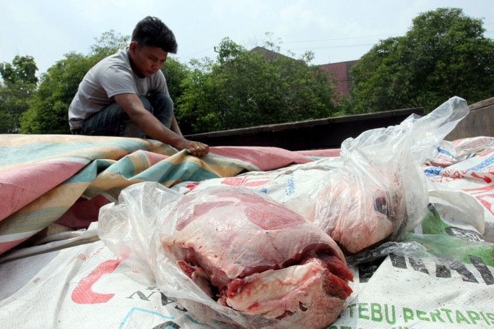 Daging Kerbau India Beredar di Jatim