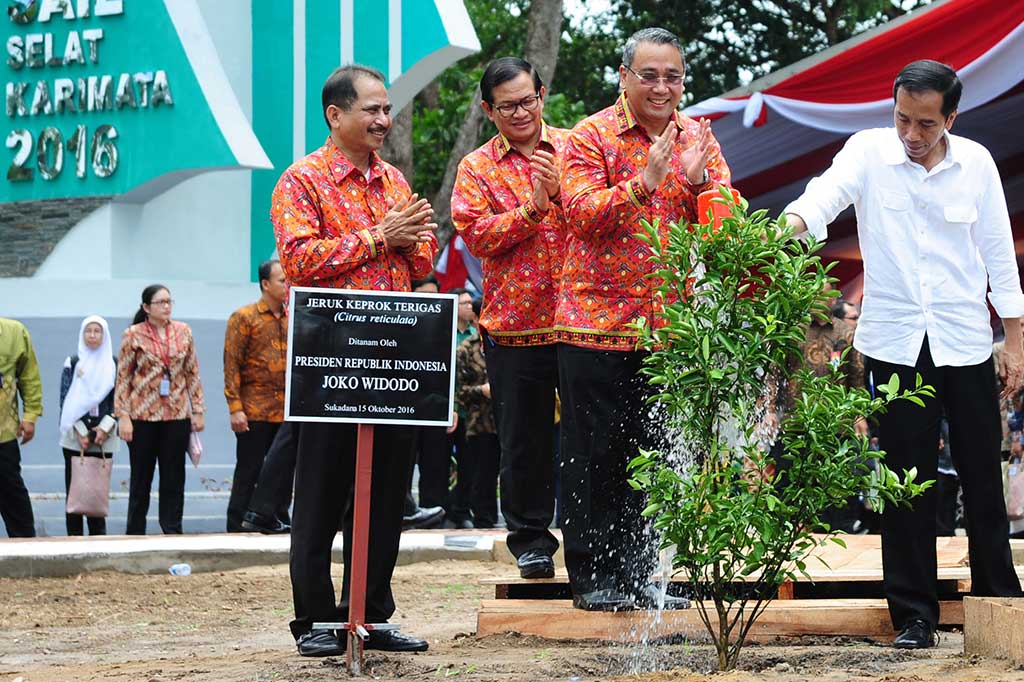 Presiden Buka Sail Selat Karimata 2016