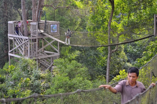 Industri Kehutanan Perlu Kepastian Hukum