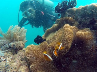 Terumbu Karang Australia Rusak