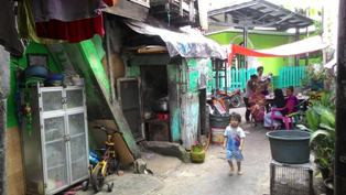 Imbalan Rp20 Ribu per Ekor, Warga Semangat Berburu Tikus