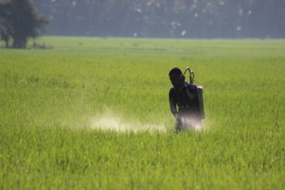 Distan Jawa Timur Siapkan Tujuh Laboratorium Antihama