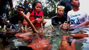 BTN dan Warga Karimunjawa Tanam Terumbu Karang