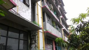 Bocor di Rusunawa Marunda