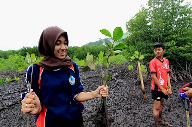 Hutan Mangrove Karimunjawa Rusak akibat Warga Buka Tambak