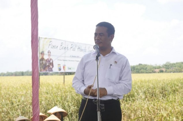 Mentan Haruskan Daerah Pinggiran untuk Impor Bahan Pangan