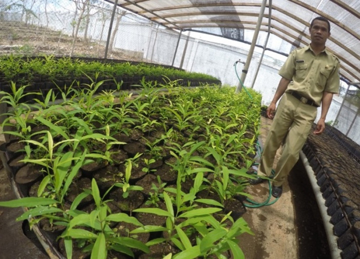 Kembangkan Cendana, Gubernur NTT Dapat Penghargaan