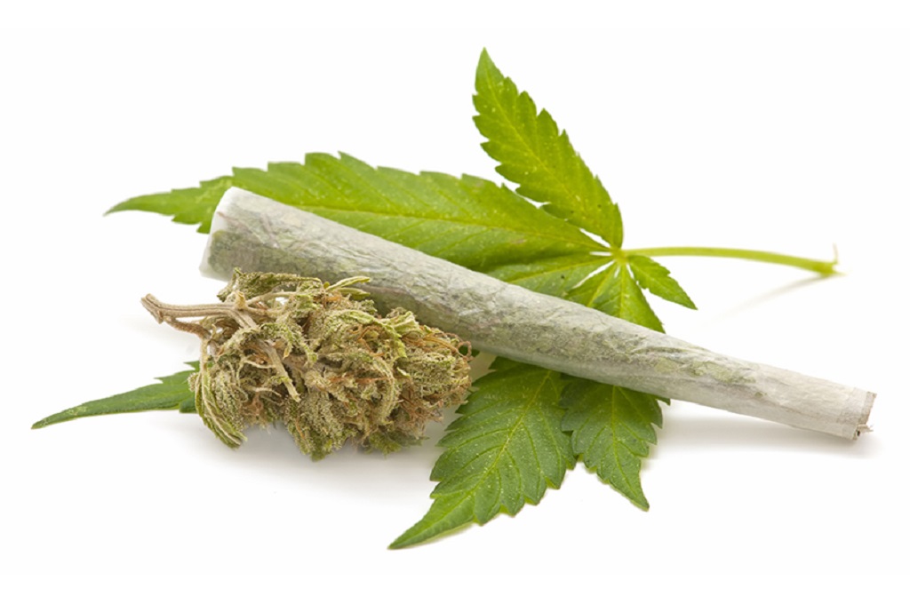 Ilustrasi narkoba jenis ganja, Metrotvnews.com