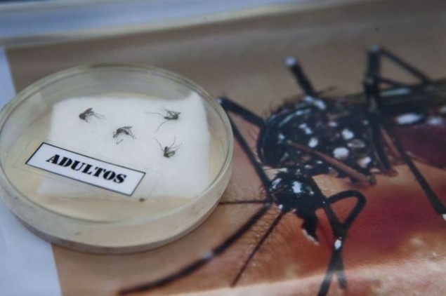 Virus Zika Pengaruhi Kesuburan Pria