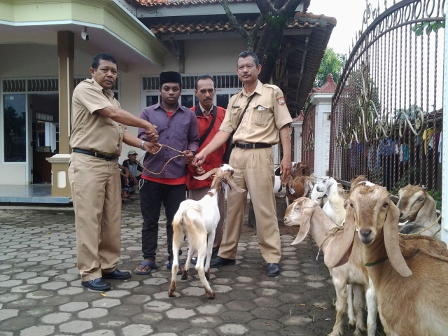 Anak Jalanan Diberi Kambing Biar tak Menggelandang