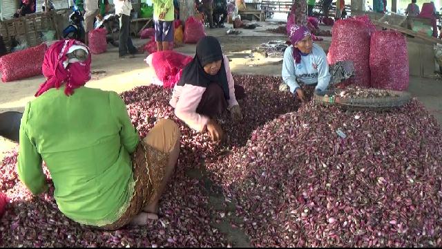 Harga Bawang Merah di Purwokerto Terus Melonjak