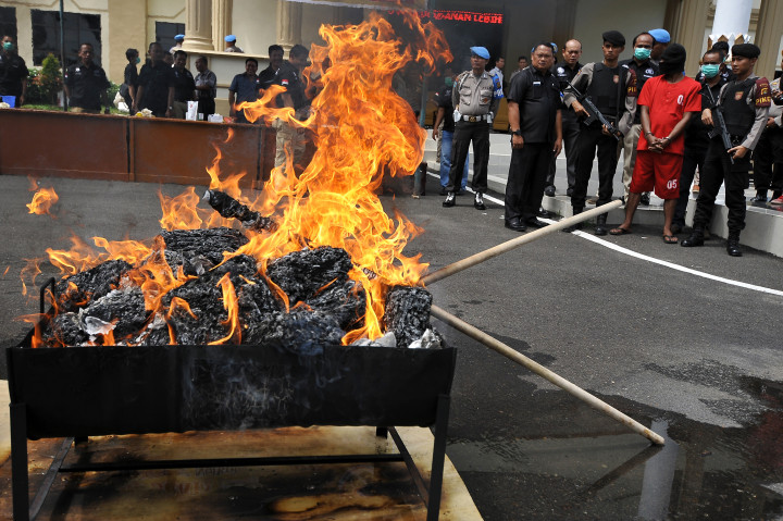 Polda Jambi Musnahkan 54 Kg Ganja Kering