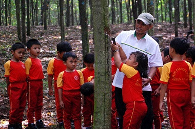 Lebak Punya 34 Ribu Hektare Lahan Karet Rakyat