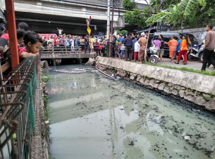 Tinjau Kali di Pademangan, Ahok Minta Warga Melapor ke QLUE