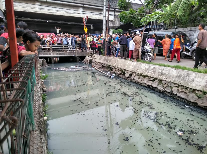 Tinjau Kali di Pademangan, Ahok Minta Warga Melapor ke QLUE