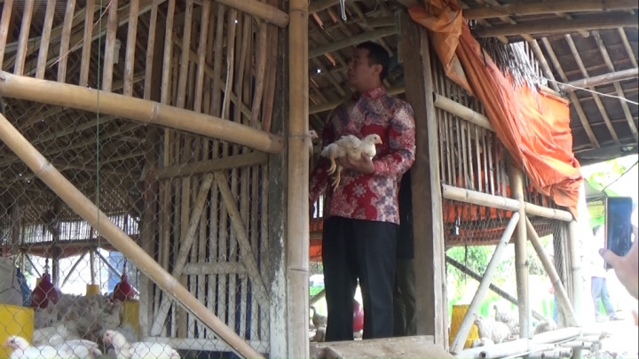 Mentan Tekan Produsen DOC Turunkan Harga via Telepon