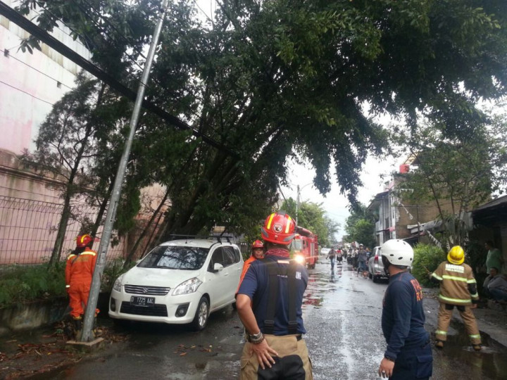 Hujan & Angin Kencang Robohkan Pohon di Bandung