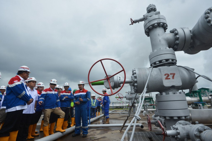 Menteri ESDM Tinjau PLTP Lahendong