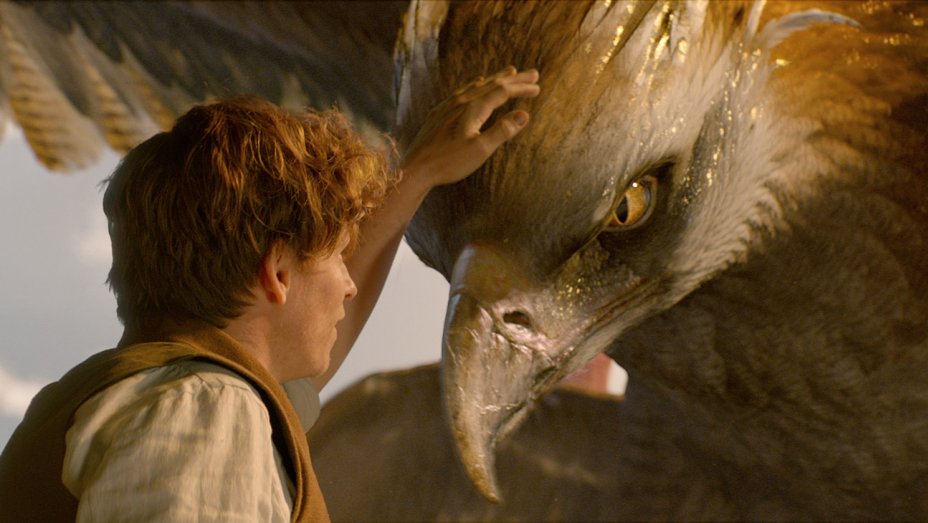 Fantastic Beasts and Where to Find Them (Foto: warnerbros)