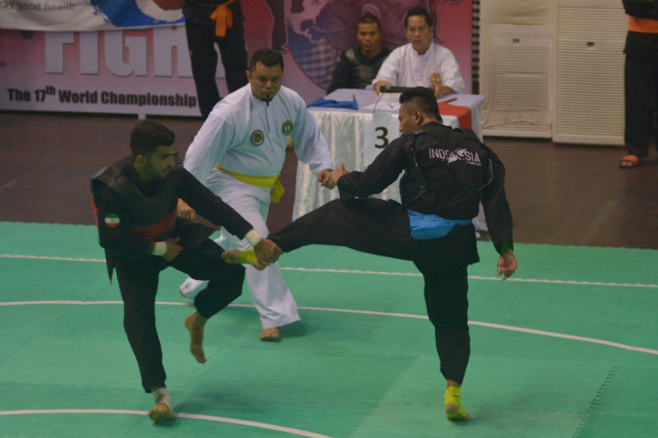 Pencak Silat Ditargetkan Masuk Olimpiade 2024