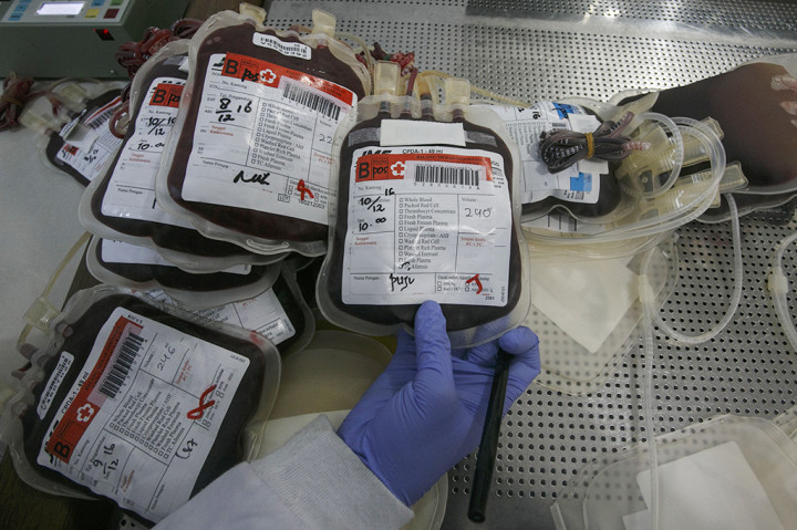 Stok Darah di Yogyakarta Aman Jelang Libur Akhir Tahun