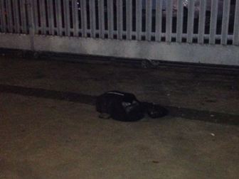 Tas Misterius di Jatiwaringin Berisi Buku