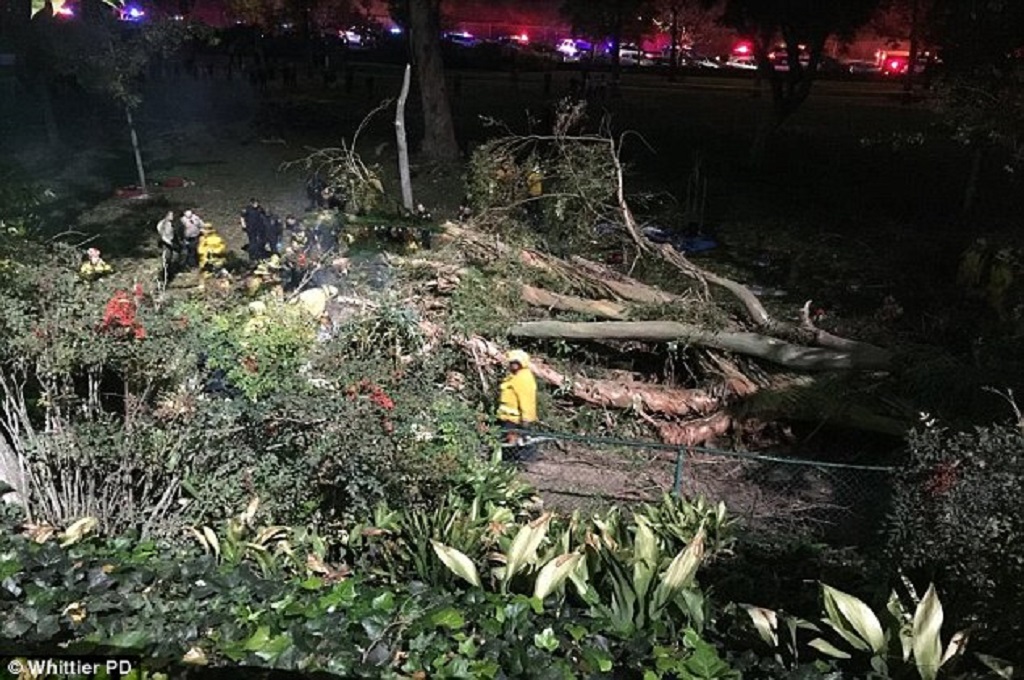 Petugas mengevakuasi korban yang tertimpa pohon tumbang di California, AS, 17 Desember 2016. (Foto: Whittler PD)