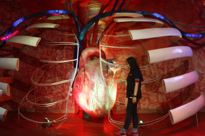 Museum Tubuh, Wisata Edukasi di Kota Batu