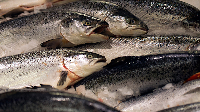 Fish contain Vitamin B12 (Photo:AFP)