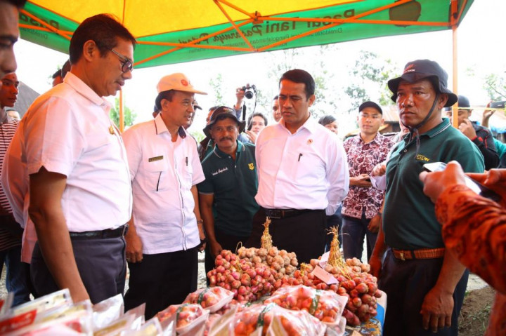 Bedakan dengan di Brebes, Mentan Beri Nama Bawang Solok Sumbar